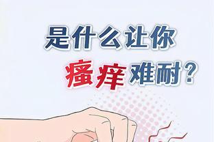 开云app最新官方入口官网截图3